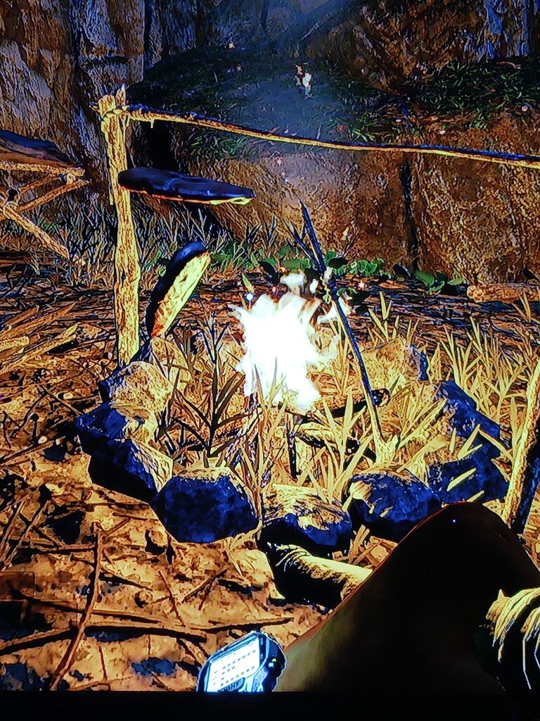 Cant cook anything [Console] Bug Reports Stranded Deep