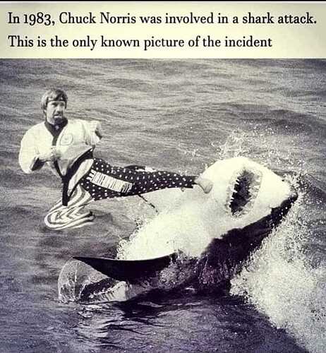Chuck Norris Shark Attack