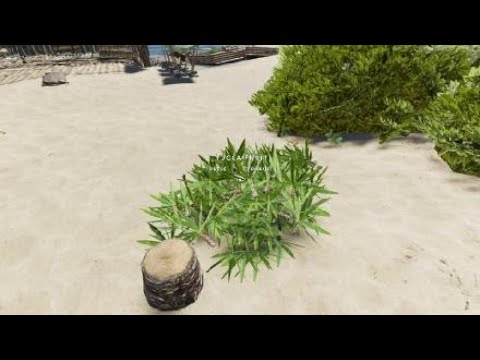 Harvesting and selecting bug - [Console] Bug Reports - Stranded Deep